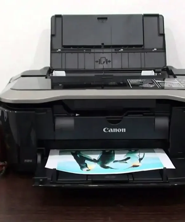 Reset Almohadilla Canon IP4810