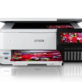 Reset Almohadilla Epson L8160