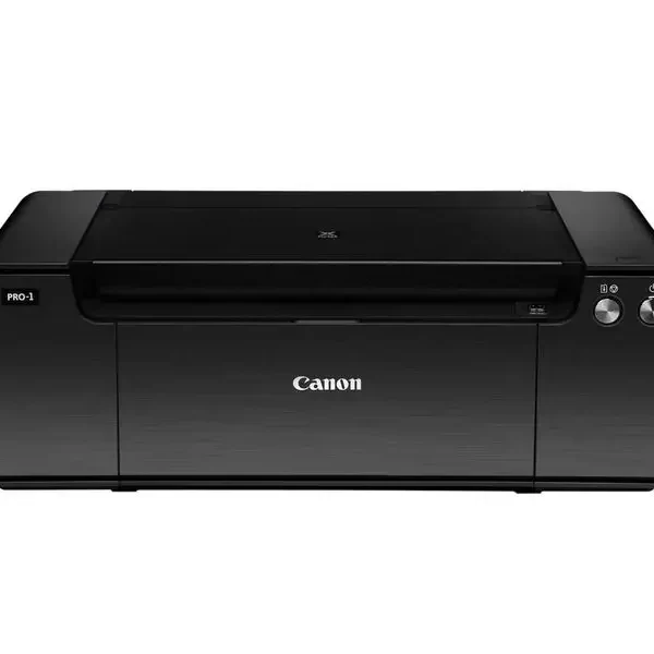Reset Almohadilla Canon PRO1