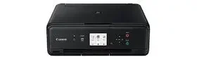 Reset Almohadilla Canon TS5010