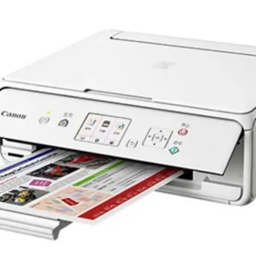 Reset Almohadilla Canon TS5080