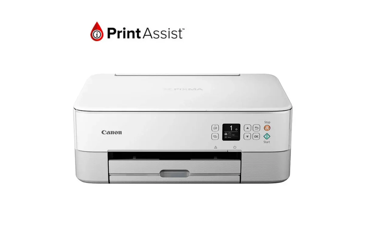 Reset Almohadilla Canon TS5365 - Imagen 1