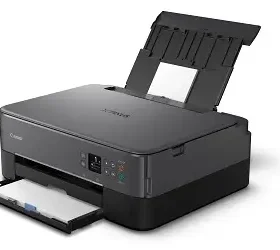 Reset Almohadilla Canon TS5391