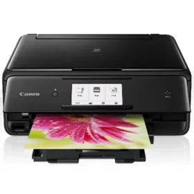Reset Almohadilla Canon TS8010