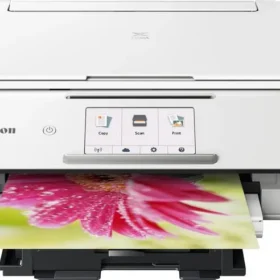 Reset Almohadilla Canon TS8051