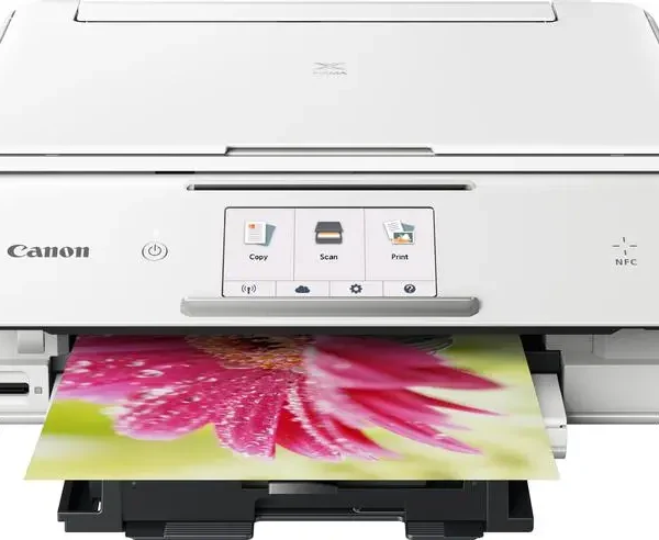 Reset Almohadilla Canon TS8051