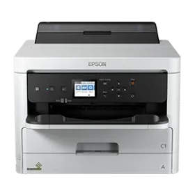 Adj Program Epson WF-C5290